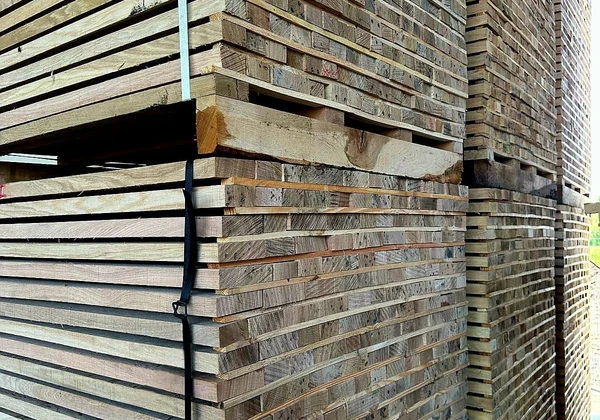Doage de stejar - 2