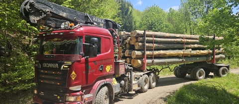 Transport lemn